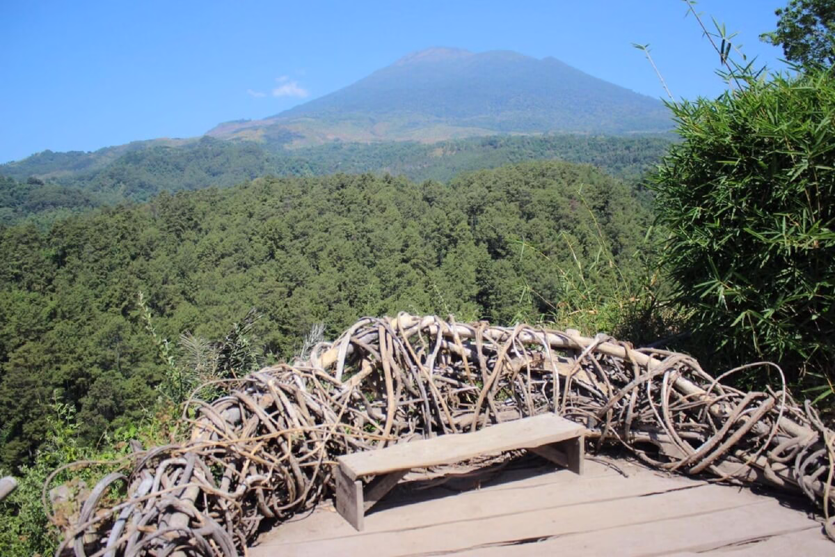 Pemandangan indah Gunung yang dikelilingi hutan lebat, dengan tempat duduk alami dari kayu dan ranting.