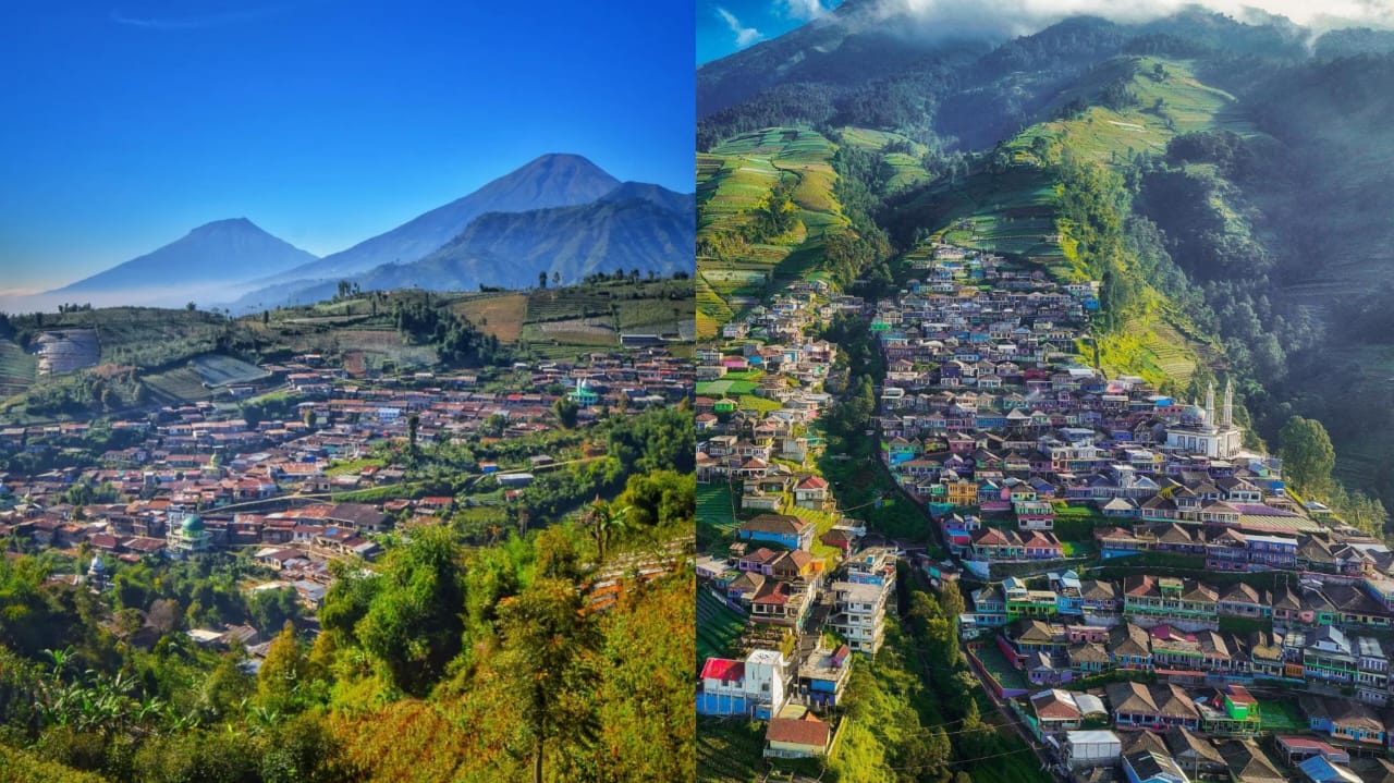 Travel