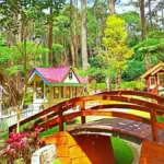 Colorful wooden playhouses nestled in a lush forest, connected by a charming bridge, create a whimsical outdoor retreat.