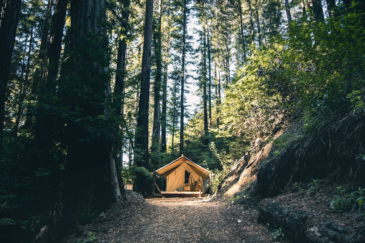 Tenda glamping terletak di tengah hutan lebat yang dikelilingi pepohonan tinggi, menawarkan pengalaman berkemah yang nyaman.