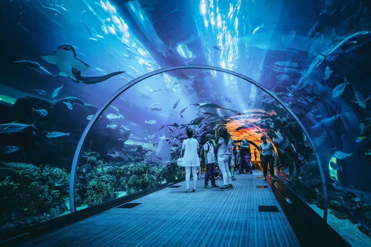 Jakarta Aquarium