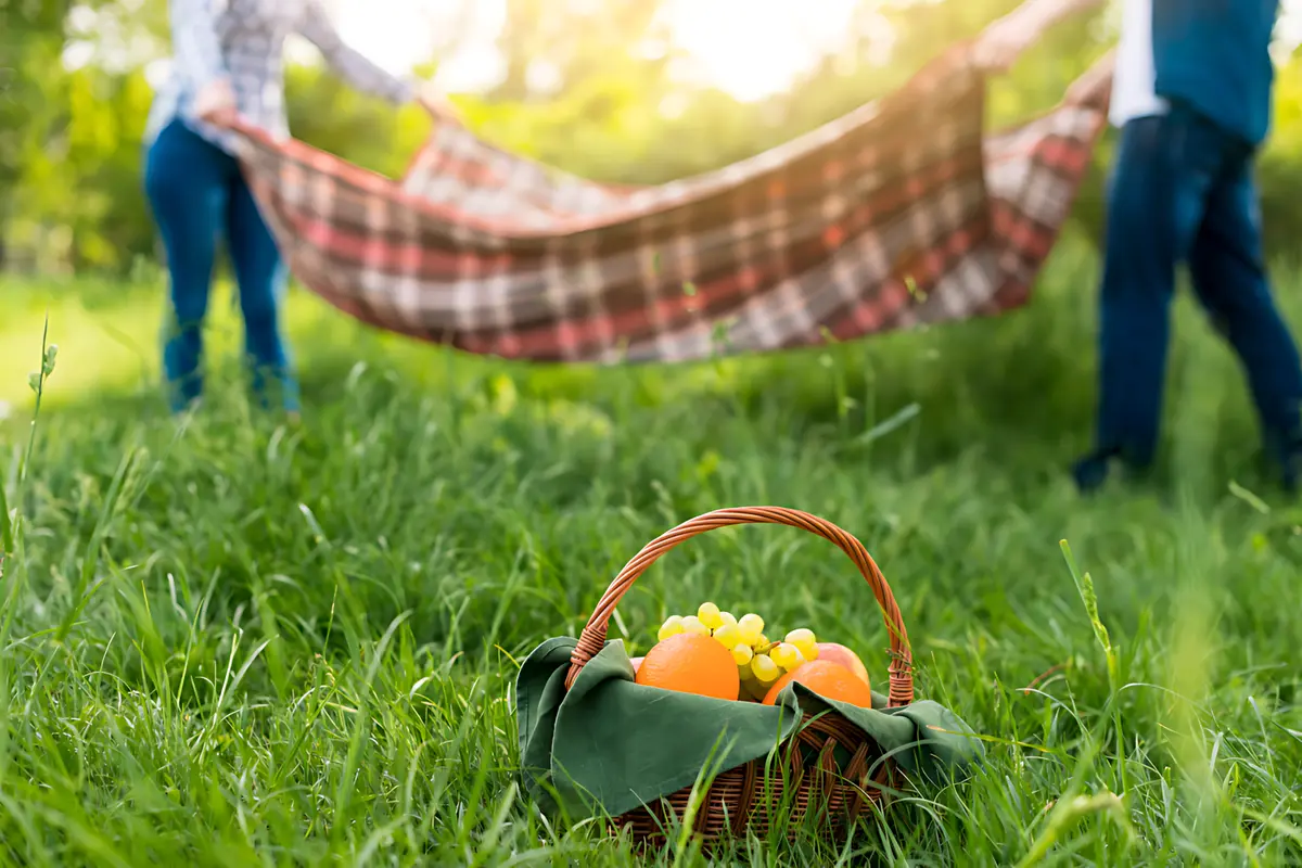 Couple preparing for a picnic in sunny grass with a basket of oranges and grapes, promoting outdoor dining and relaxation.